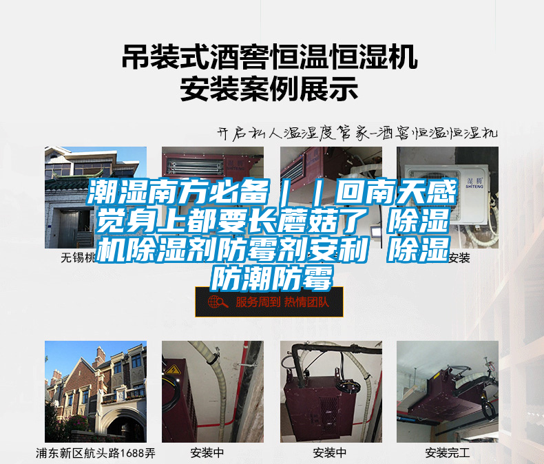 潮湿南方必备||回南天感觉身上都要长蘑菇了 好色先生污污版除湿剂防霉剂安利 除湿防潮防霉