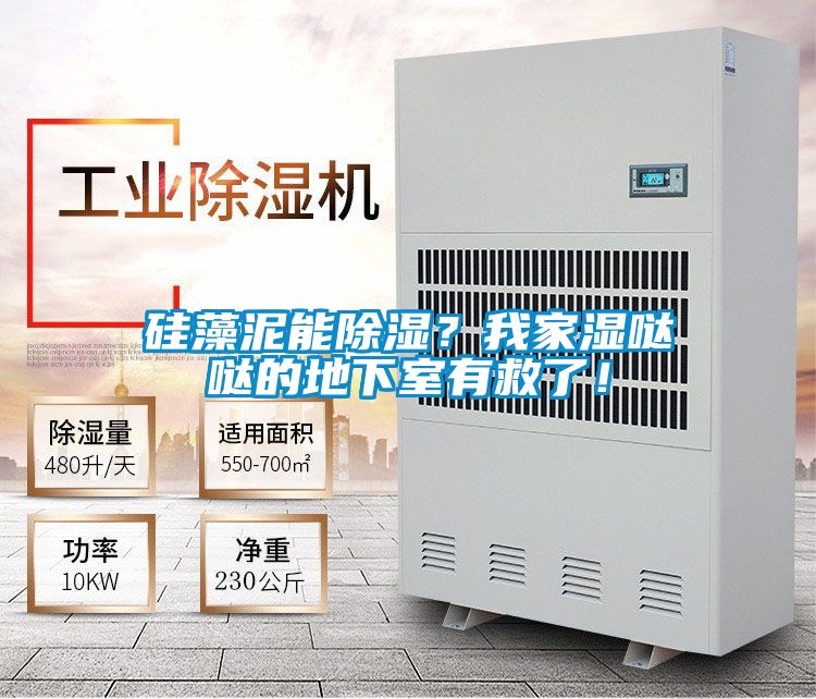 硅藻泥能除湿？我家湿哒哒的地下室有救了！