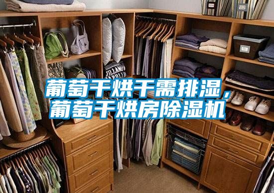 葡萄干烘干需排湿，葡萄干烘房好色先生污污版