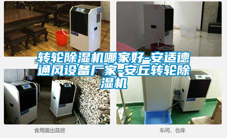 转轮好色先生污污版哪家好-安适德通风设备厂家-安丘转轮好色先生污污版