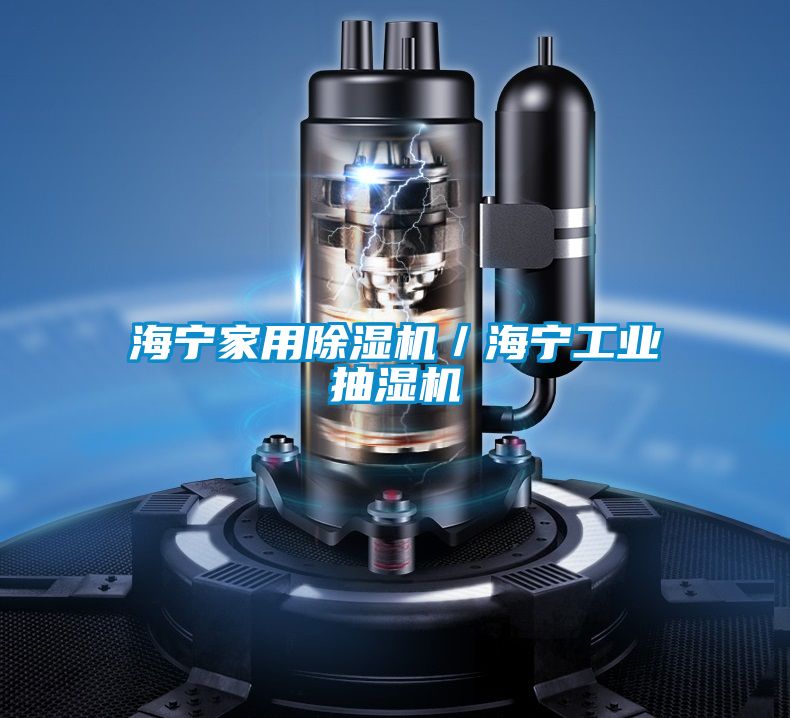 海宁家用好色先生污污版／海宁工业抽湿机