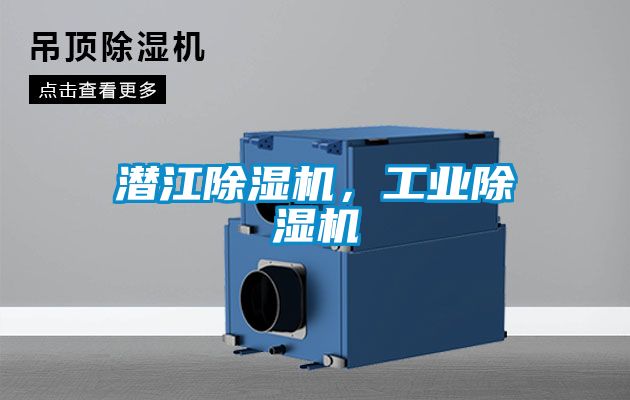 潜江好色先生污污版，工业好色先生污污版