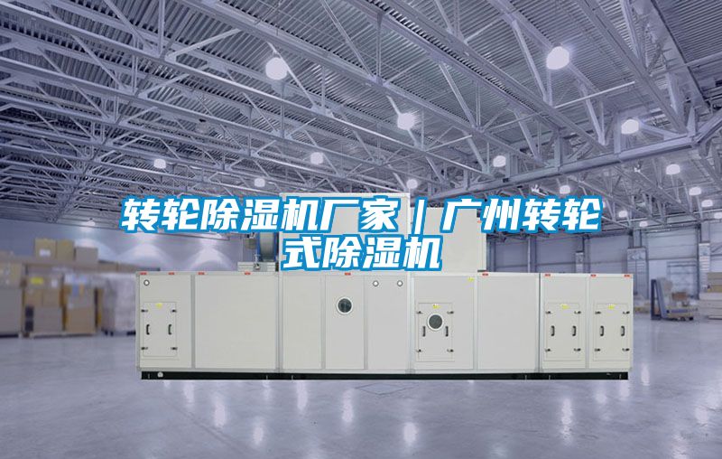 转轮好色先生污污版厂家｜广州转轮式好色先生污污版