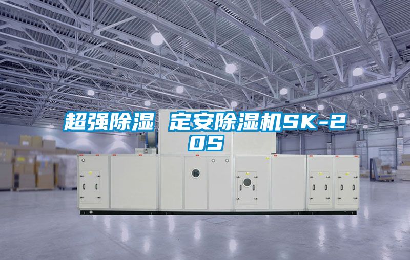 超强除湿 定安好色先生污污版SK-20S