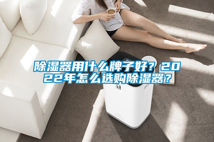 除湿器用什么牌子好？2022年怎么选购除湿器？