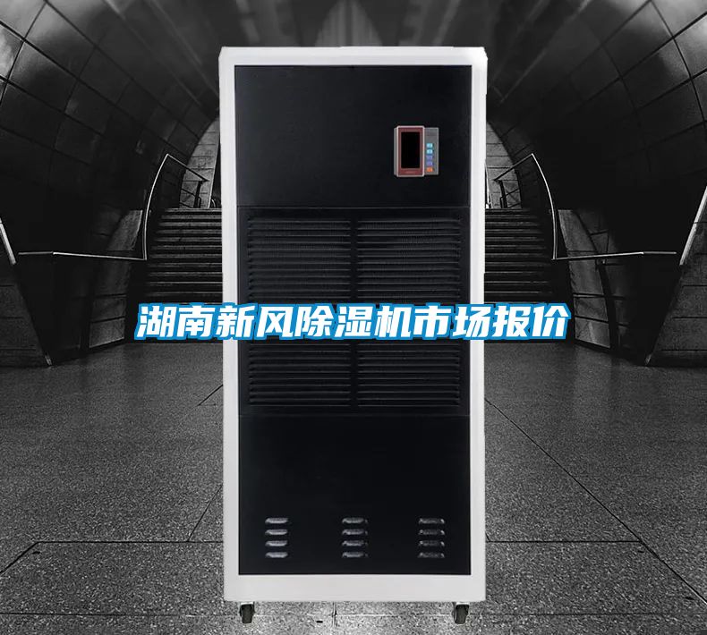 湖南新风好色先生污污版市场报价