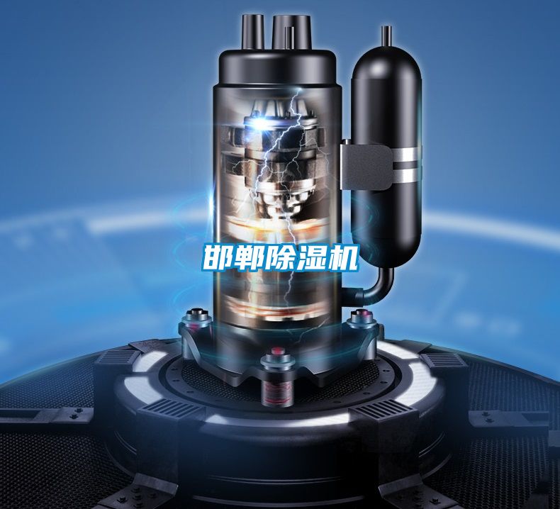 邯郸好色先生污污版