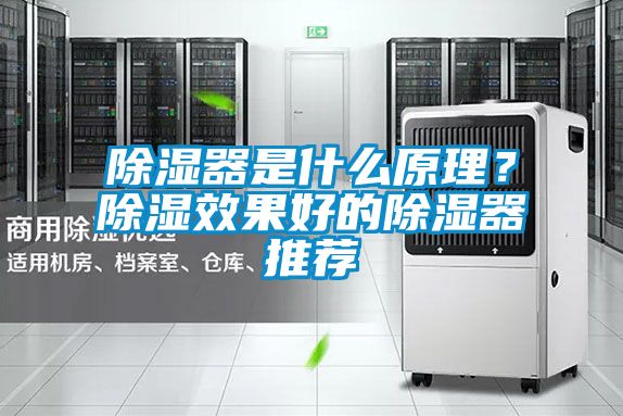 除湿器是什么原理？除湿效果好的除湿器推荐