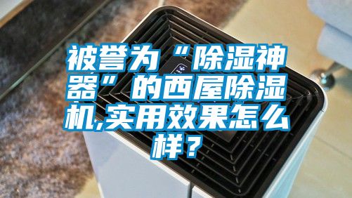 被誉为“除湿神器”的西屋好色先生污污版,实用效果怎么样？