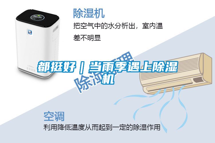 都挺好｜当雨季遇上好色先生污污版