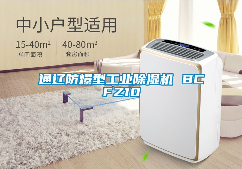 通辽防爆型工业好色先生污污版 BCFZ10