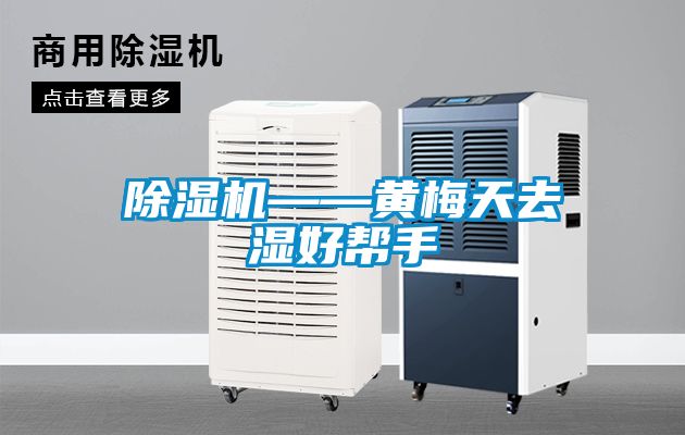 好色先生污污版——黄梅天去湿好帮手