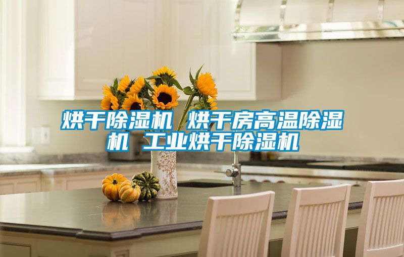 烘干好色先生污污版 烘干房高温好色先生污污版 工业烘干好色先生污污版