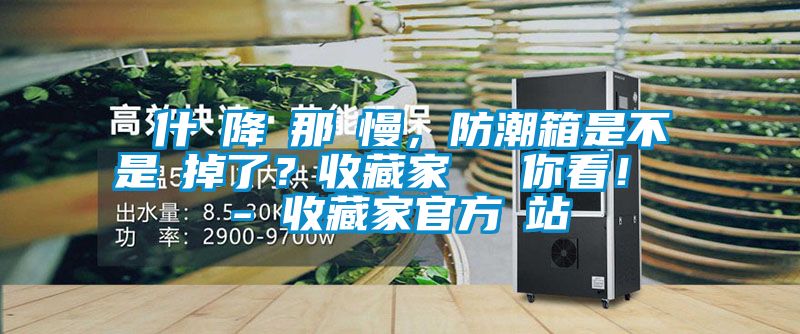 為什麼降濕那麼慢，防潮箱是不是壞掉了？收藏家實測給你看！ - 收藏家官方網站