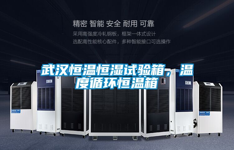 武汉恒温恒湿试验箱，温度循环恒温箱