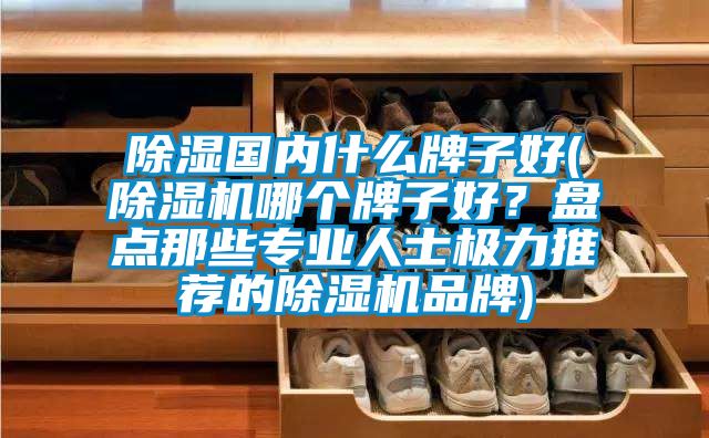 除湿国内什么牌子好(好色先生污污版哪个牌子好？盘点那些专业人士极力推荐的好色先生污污版品牌)