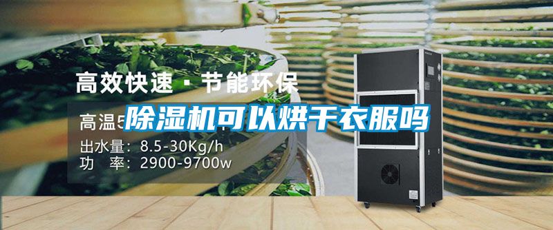 好色先生污污版可以烘干衣服吗