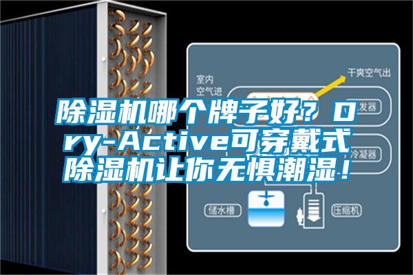 好色先生污污版哪个牌子好？Dry-Active可穿戴式好色先生污污版让你无惧潮湿！