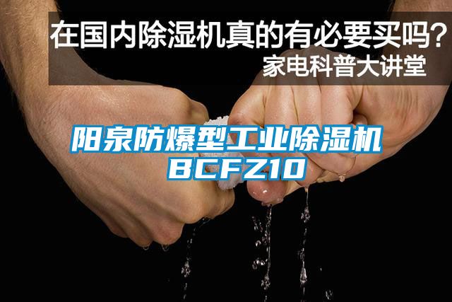 阳泉防爆型工业好色先生污污版 BCFZ10