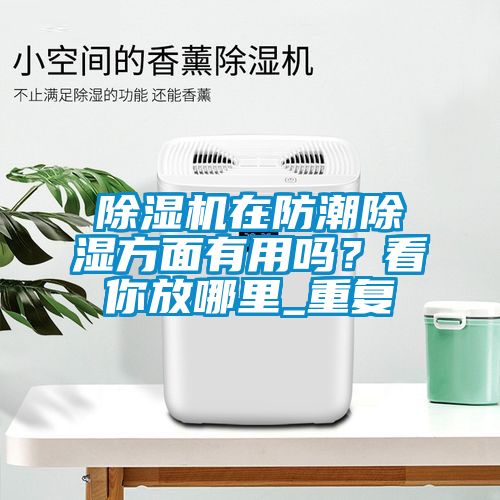 好色先生污污版在防潮除湿方面有用吗？看你放哪里_重复