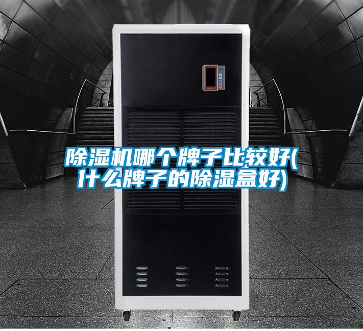 好色先生污污版哪个牌子比较好(什么牌子的除湿盒好)