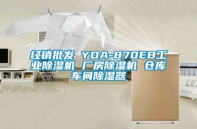 经销批发 YDA-870EB工业好色先生污污版 厂房好色先生污污版 仓库车间除湿器