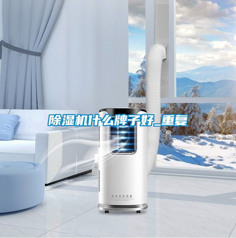 好色先生污污版什么牌子好_重复