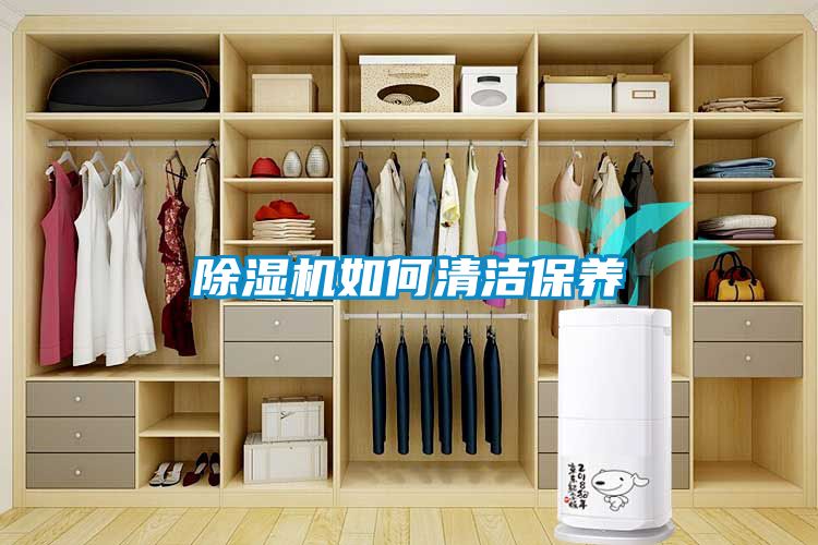 好色先生污污版如何清洁保养