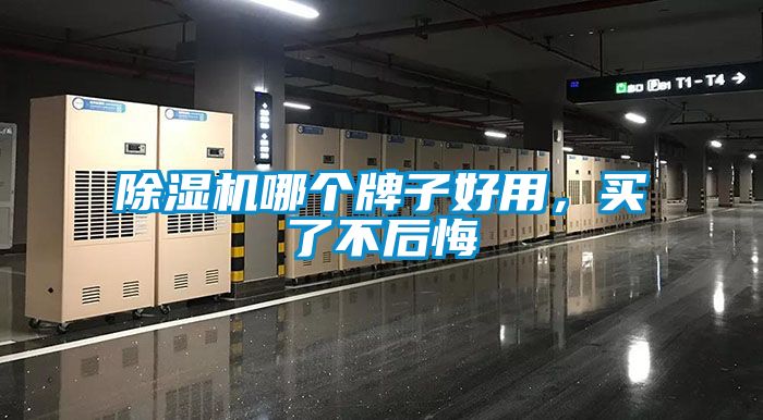 好色先生污污版哪个牌子好用，买了不后悔