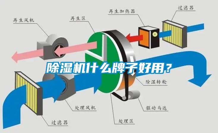 好色先生污污版什么牌子好用？