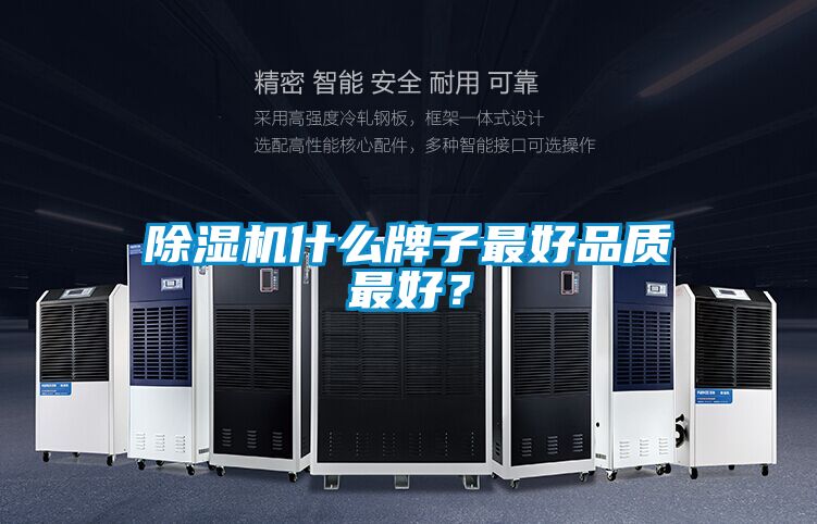 好色先生污污版什么牌子最好品质最好？