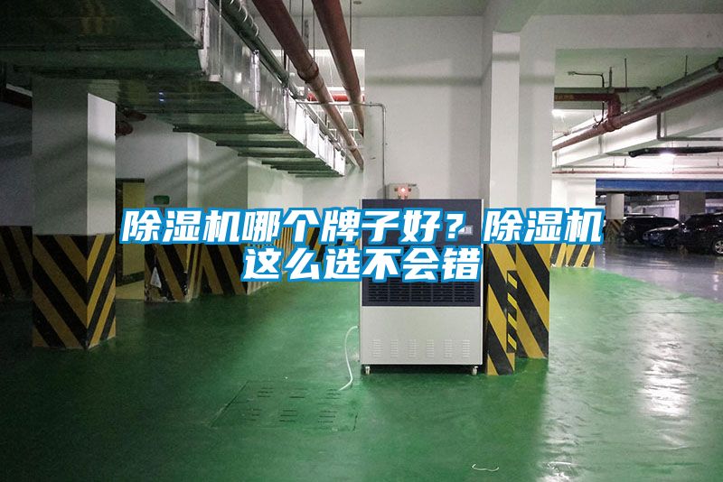 好色先生污污版哪个牌子好？好色先生污污版这么选不会错