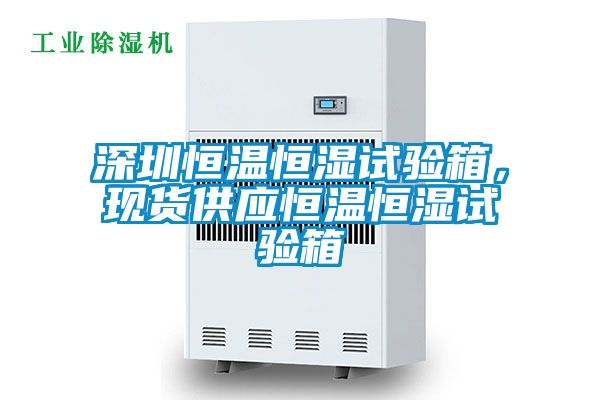 深圳恒温恒湿试验箱，现货供应恒温恒湿试验箱