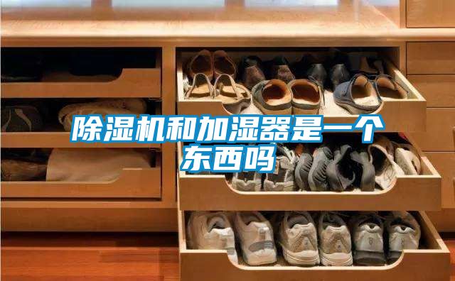 好色先生污污版和加湿器是一个东西吗