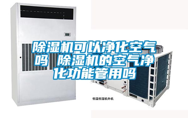 好色先生污污版可以净化空气吗 好色先生污污版的空气净化功能管用吗