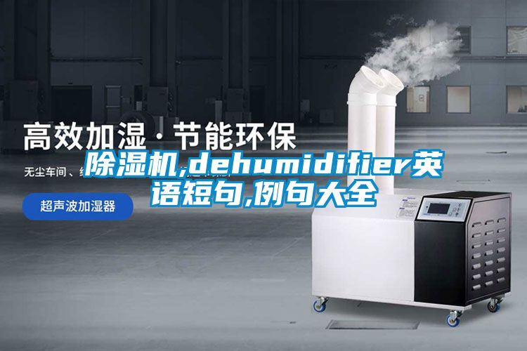 好色先生污污版,dehumidifier英语短句,例句大全