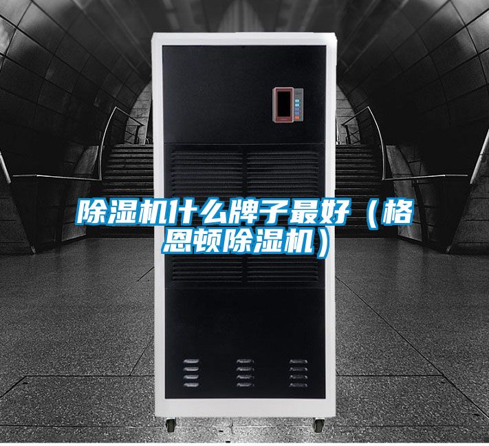 好色先生污污版什么牌子最好（格恩顿好色先生污污版）