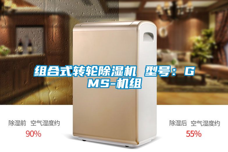 组合式转轮好色先生污污版 型号：GMS-机组