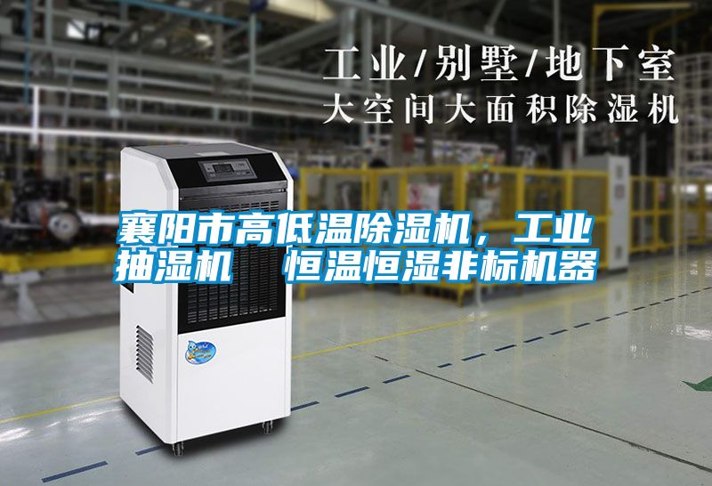 襄阳市高低温好色先生污污版，工业抽湿机  恒温恒湿非标机器
