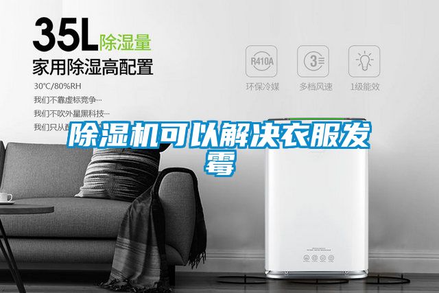 好色先生污污版可以解决衣服发霉