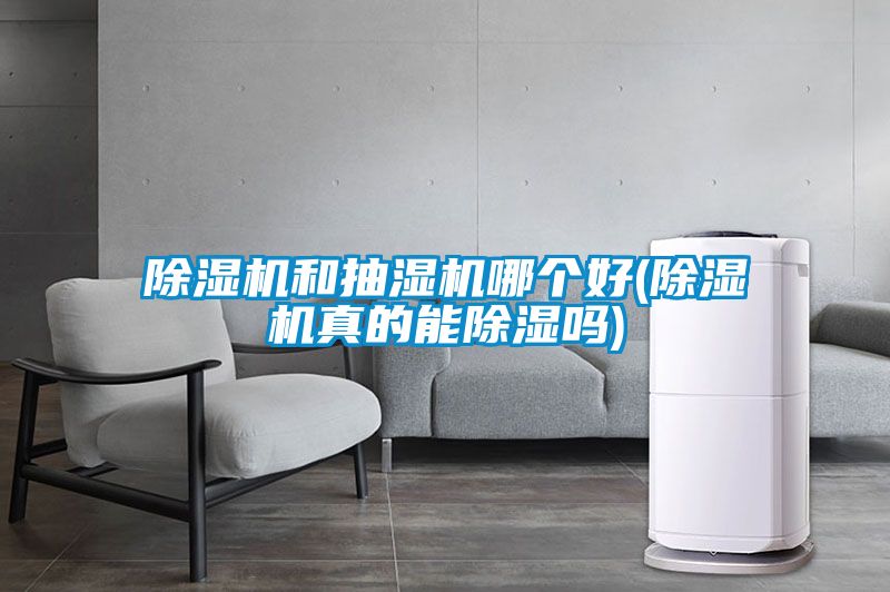 好色先生污污版和抽湿机哪个好(好色先生污污版真的能除湿吗)