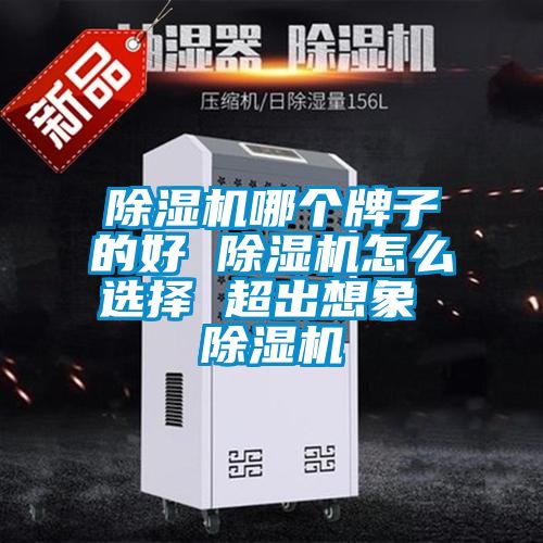 好色先生污污版哪个牌子的好 好色先生污污版怎么选择 超出想象 好色先生污污版