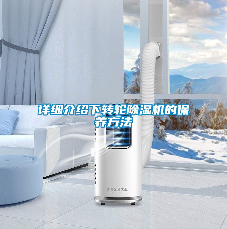 详细介绍下转轮好色先生污污版的保养方法