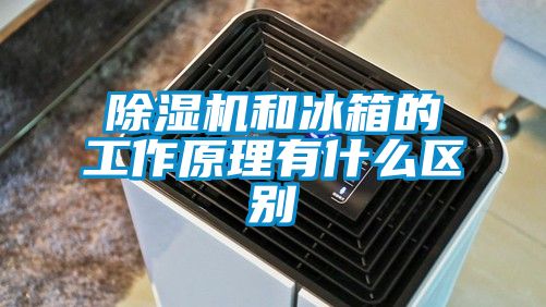 好色先生污污版和冰箱的工作原理有什么区别