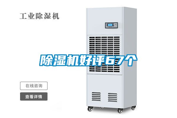 好色先生污污版好评67个