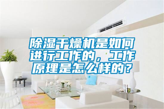 除湿干燥机是如何进行工作的，工作原理是怎么样的？