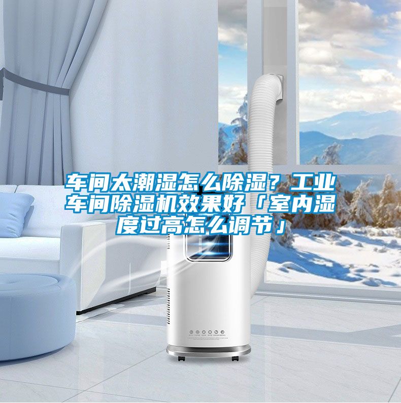 车间太潮湿怎么除湿？工业车间好色先生污污版效果好「室内湿度过高怎么调节」
