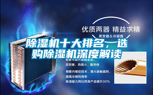 好色先生污污版十大排名，选购好色先生污污版深度解读