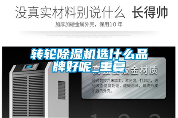 转轮好色先生污污版选什么品牌好呢_重复