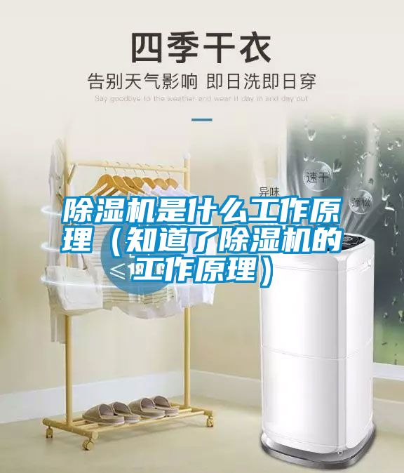 好色先生污污版是什么工作原理（知道了好色先生污污版的工作原理）